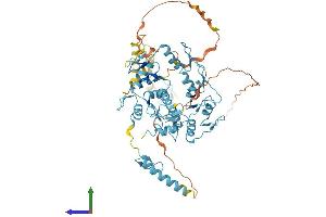 AlphaFold protein structure predicition of Human Recombinant REPIN1 Protein, UniprotID Q9BWE0