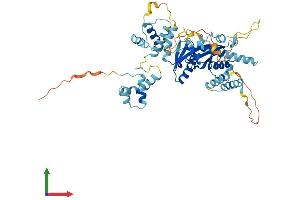 AlphaFold protein structure predicition of Mouse Recombinant Tigd4 Protein, UniprotID Q8BUZ3