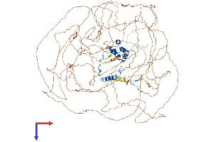 AlphaFold protein structure predicition of Human Recombinant EMSY Protein, UniprotID Q7Z589