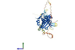AlphaFold protein structure predicition of Human Recombinant TEAD1 Protein, UniprotID P28347