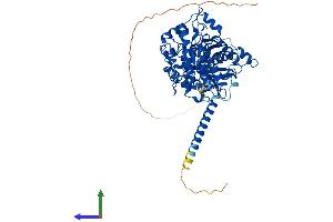 AlphaFold protein structure predicition of Mouse Recombinant Mtmr2 Protein, UniprotID Q9Z2D1