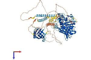 AlphaFold protein structure predicition of Human Recombinant OSBPL7 Protein, UniprotID Q9BZF2