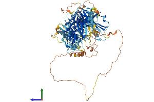 AlphaFold protein structure predicition of Human Recombinant MAP4K2 Protein, UniprotID Q12851