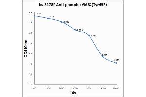 Antigen: 0. (GAB2 anticorps  (pTyr452))