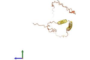 AlphaFold protein structure predicition of Human Recombinant UMODL1-AS1 Protein, UniprotID Q8N2C9