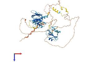 AlphaFold protein structure predicition of Mouse Recombinant Shc2 Protein, UniprotID Q8BMC3