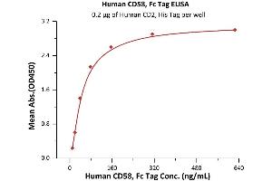 Immobilized Human CD2, His Tag (ABIN2180720,ABIN2180719) at 2 μg/mL (100 μL/well) can bind Human CD58, Fc Tag (ABIN5526666,ABIN5526667) with a linear range of 10-78 ng/mL (QC tested).