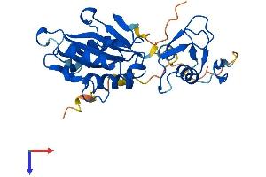 AlphaFold protein structure predicition of Mouse Recombinant Slx1b Protein, UniprotID Q8BX32