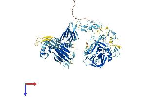 AlphaFold protein structure predicition of Mouse Recombinant St14 Protein, UniprotID P56677