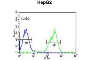 Flow cytometric analysis of HepG2 cells using MAP4K3 Antibody  (right histogram) compared to a negative control cell (left histogram). (MAP4K3 anticorps)