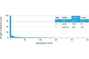 Analysis of Protein Array containing >19,000 full-length human proteins using CD25 Mouse Monoclonal Antibody (IL2RA/2395) Z- and S- Score: The Z-score represents the strength of a signal that a monoclonal antibody (MAb) (in combination with a fluorescently-tagged anti-IgG secondary antibody) produces when binding to a particular protein on the HuProtTM array.