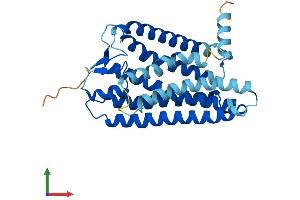 AlphaFold protein structure predicition of Human Recombinant OR8D2 Protein, UniprotID Q9GZM6
