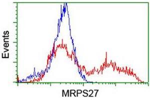 Image no. 3 for anti-Mitochondrial Ribosomal Protein S27 (MRPS27) (AA 151-414) antibody (ABIN1490965)
