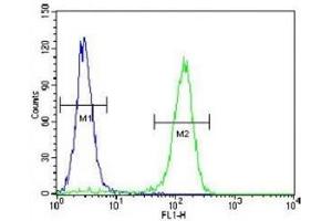 Cyclin C antibody flow cytometric analysis of HeLa cells (right histogram) compared to a negative control (left histogram).
