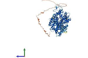 AlphaFold protein structure predicition of Mouse Recombinant Pomt2 Protein, UniprotID Q8BGQ4