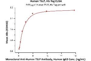 Immobilized Human TSLP, His Tag (ABIN5954933,ABIN6253595) at 0.