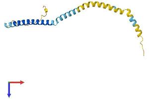 AlphaFold protein structure predicition of Human Recombinant TPD52L3 Protein, UniprotID Q96J77