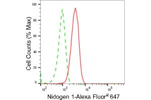 Flow cytometric analysis of Nidogen 1 expression in C2C12 cells using Nidogen 1 antibody (ABIN7799597), 1:2,000).
