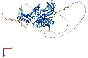 AlphaFold protein structure predicition of Mouse Recombinant Gtpbp1 Protein, UniprotID O08582