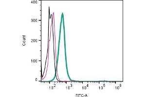 Cell surface detection of KISS1R by direct flow cytometry in live intact human Jurkat T-cell leukemia cell line: + Rabbit IgG Isotype Control-FITC (ABIN7582044).
