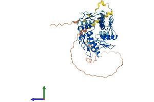 AlphaFold protein structure predicition of Human Recombinant ZNF436 Protein, UniprotID Q9C0F3