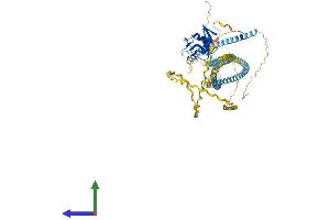 AlphaFold protein structure predicition of Human Recombinant COLEC12 Protein, UniprotID Q5KU26
