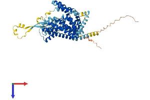 AlphaFold protein structure predicition of Mouse Recombinant Slc1a3 Protein, UniprotID P56564