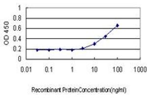 Detection limit for recombinant GST tagged RPL13 is approximately 3ng/ml as a capture antibody.