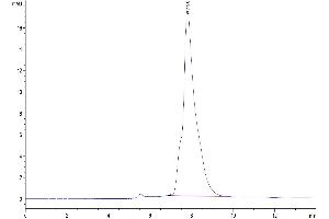 The purity of Human CALCA/CGRP is greater than 95 % as determined by SEC-HPLC. (CGRP Protein (AA 26-141) (Fc Tag))