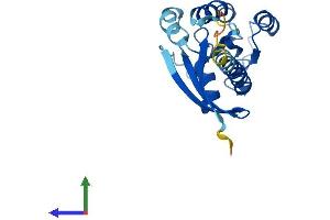 AlphaFold protein structure predicition of Human Recombinant RAB7B Protein, UniprotID Q96AH8