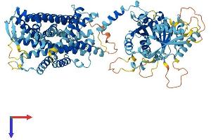AlphaFold protein structure predicition of Mouse Recombinant Slc12a9 Protein, UniprotID Q99MR3