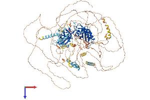 AlphaFold protein structure predicition of Human Recombinant PER1 Protein, UniprotID O15534