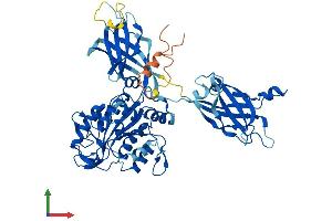 AlphaFold protein structure predicition of Human Recombinant CPNE4 Protein, UniprotID Q96A23