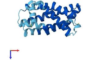 AlphaFold protein structure predicition of Mouse Recombinant Mpv17 Protein, UniprotID P19258