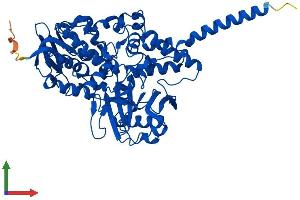 AlphaFold protein structure predicition of Mouse Recombinant Maoa Protein, UniprotID Q64133