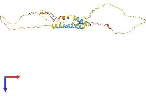 AlphaFold protein structure predicition of Mouse Recombinant Mdfic Protein, UniprotID Q8BX65