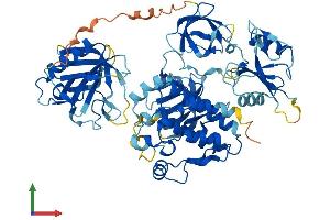 AlphaFold protein structure predicition of Human Recombinant TEC Protein, UniprotID P42680