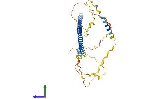 AlphaFold protein structure predicition of Mouse Recombinant Atf5 Protein, UniprotID O70191