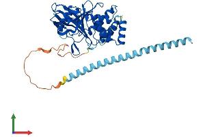 AlphaFold protein structure predicition of Mouse Recombinant Ptpn2 Protein, UniprotID Q06180