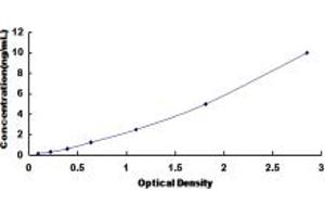 Typical standard curve (DPEP2 Kit ELISA)