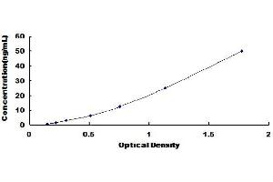 Typical Standard Curve (MYOC Kit ELISA)