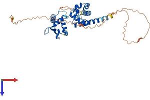 AlphaFold protein structure predicition of Human Recombinant SPDEF Protein, UniprotID O95238