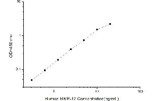 Typical standard curve (MMP12 Kit ELISA)