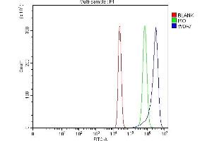 Flow Cytometry analysis of U20S cells using anti-WDR7 antibody (ABIN7600939). (WDR7 anticorps  (AA 258-1292))