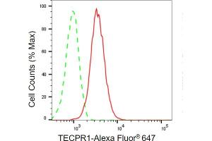anti-Tectonin beta-Propeller Repeat Containing 1 (TECPR1) antibody