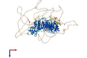 AlphaFold protein structure predicition of Mouse Recombinant Fbxo38 Protein, UniprotID Q8BMI0