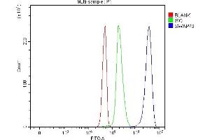 Flow Cytometry analysis of Jurkat cells using anti-SWAP70 antibody (ABIN7600201).