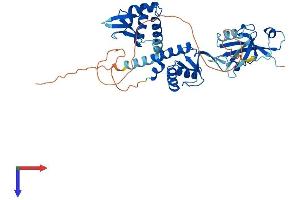 AlphaFold protein structure predicition of Human Recombinant DEPTOR Protein, UniprotID Q8TB45