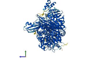 AlphaFold protein structure predicition of Human Recombinant PFAS Protein, UniprotID O15067