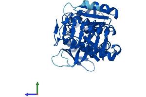 AlphaFold protein structure predicition of Mouse Recombinant Gmppb Protein, UniprotID Q8BTZ7
